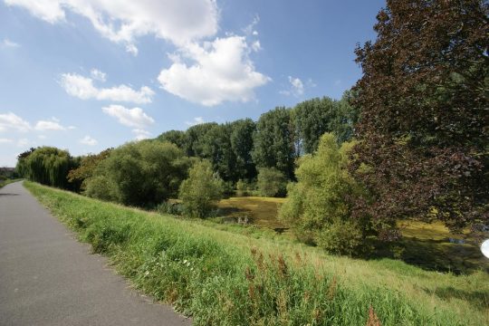 Landschaftsschutzgebiet- Teiche