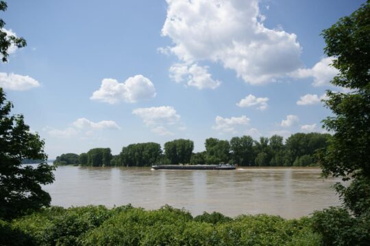 Traumhafter Rheinblick