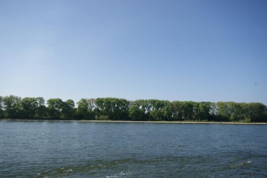 Rheinblick vom Balkon